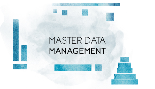 Master data management